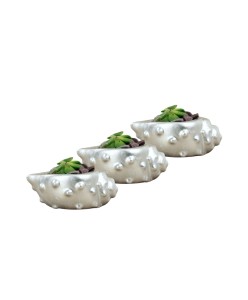 Mini Çiçek Saksı Küçük Sukulent Gümüş Kaktüs Saksısı 3'lü Set Deniz Kabuğu Model